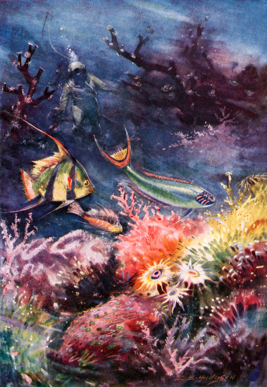  af E. S. (after) Hodgson