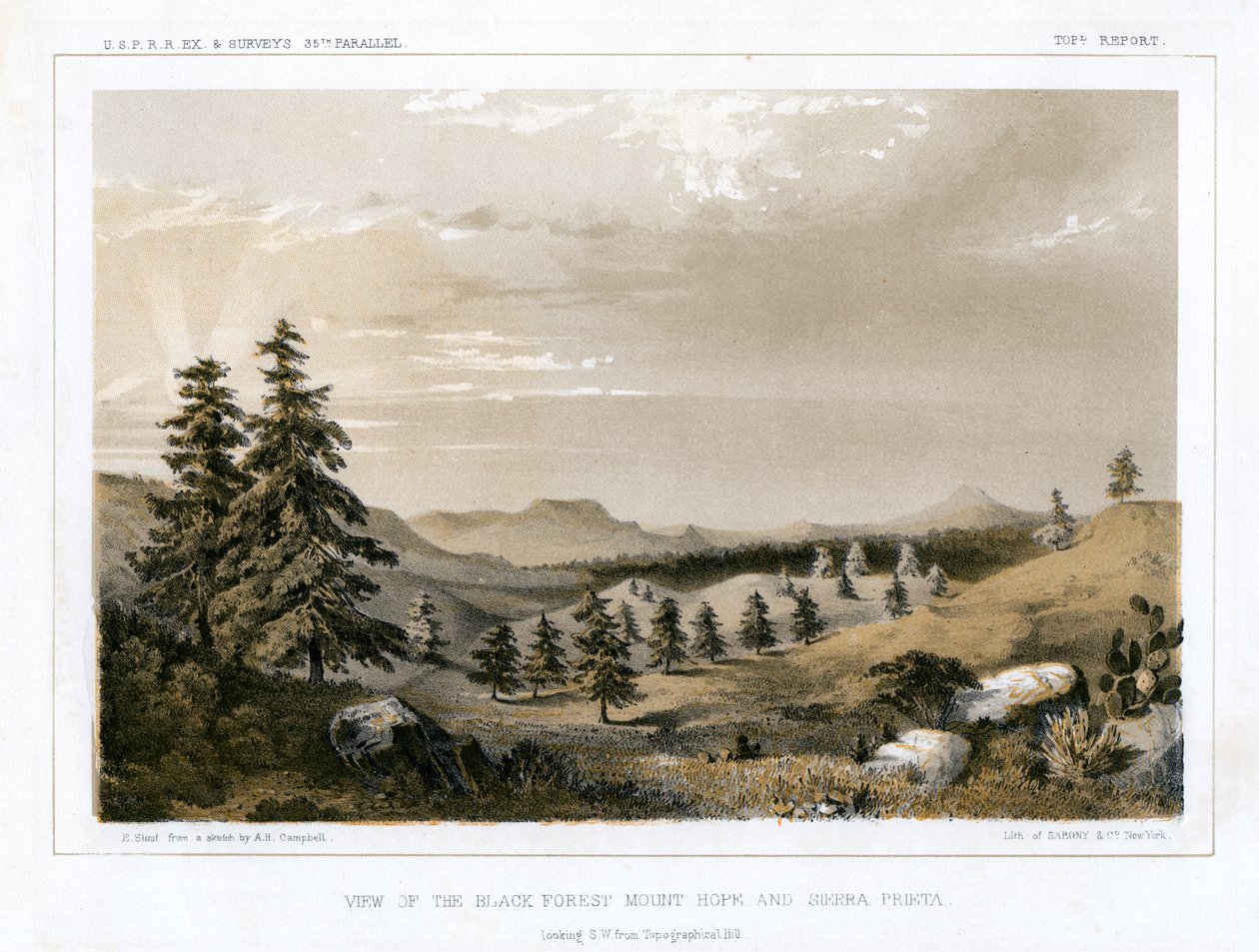 Schwarzwald Mount Hope og Sierra Prieta, USA, 1856. af E Stout
