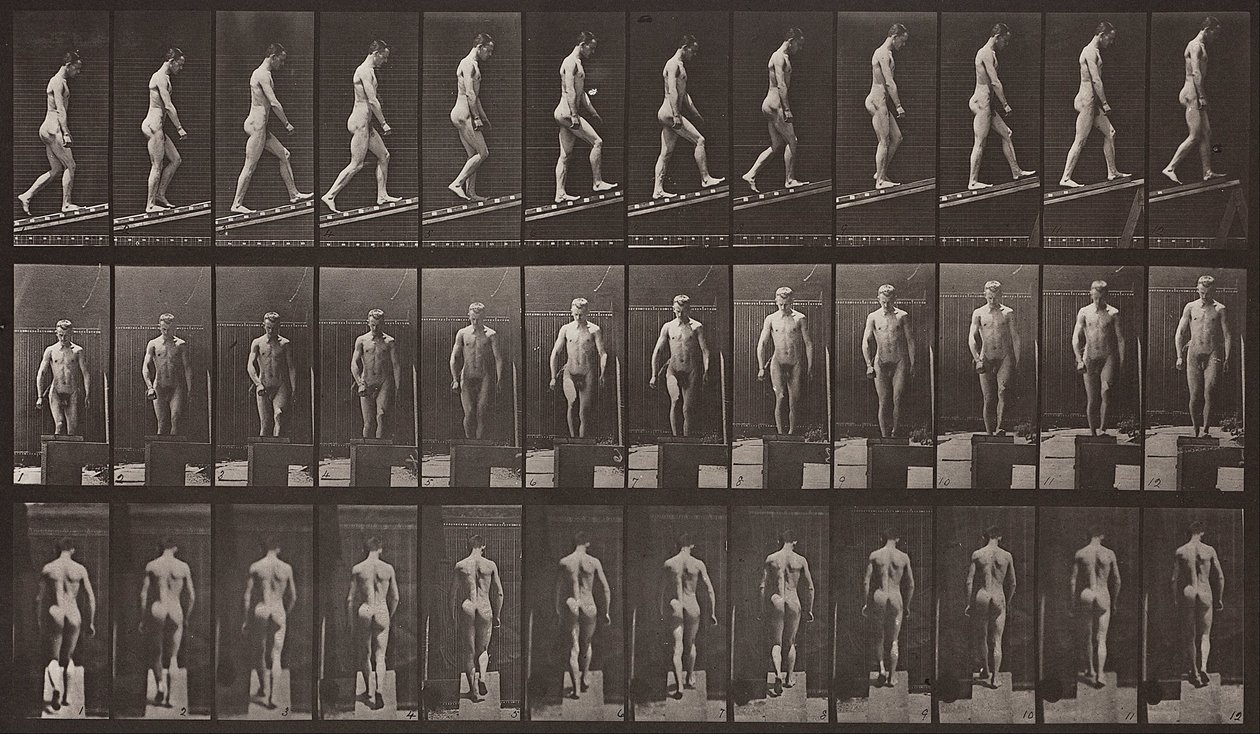 Animal Locomotion, plade 74 af Eadweard Muybridge