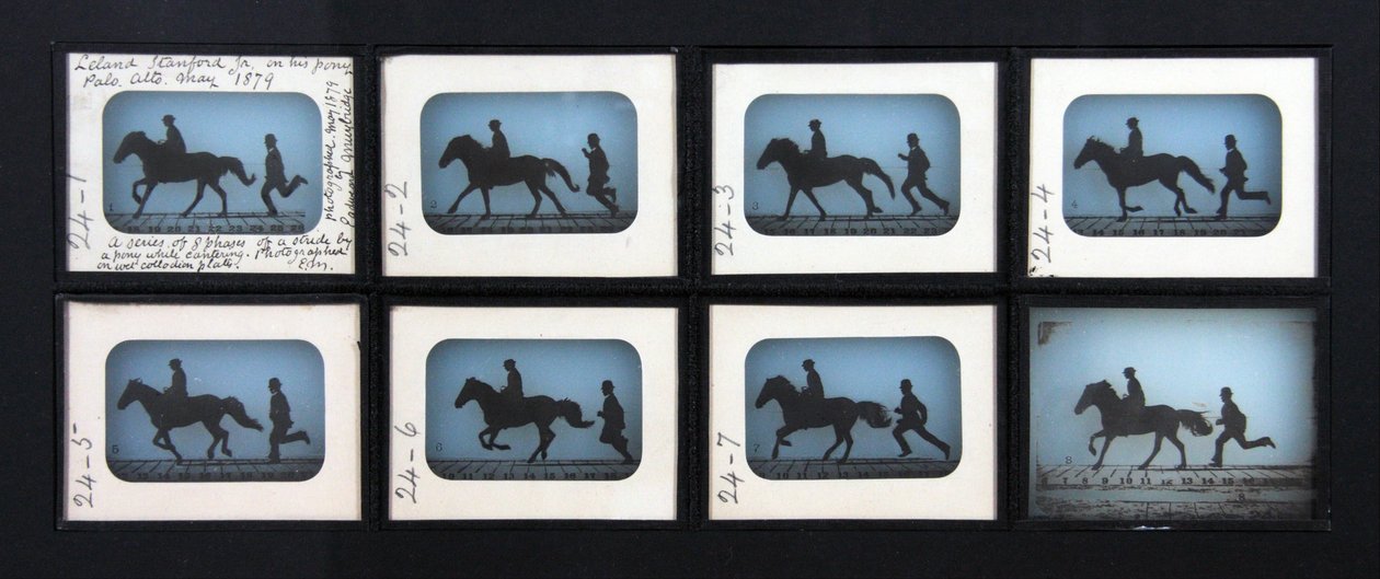 Leland Stanford Jr. på sin Pony Gypsy af Eadweard Muybridge