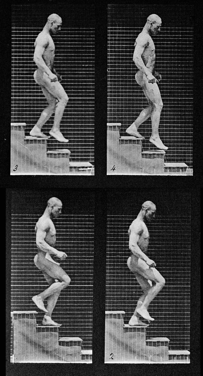 Mand på vej ned ad en trappe, fra "Animal Locomotion", 1887 (detalje af 425605) af Eadweard Muybridge