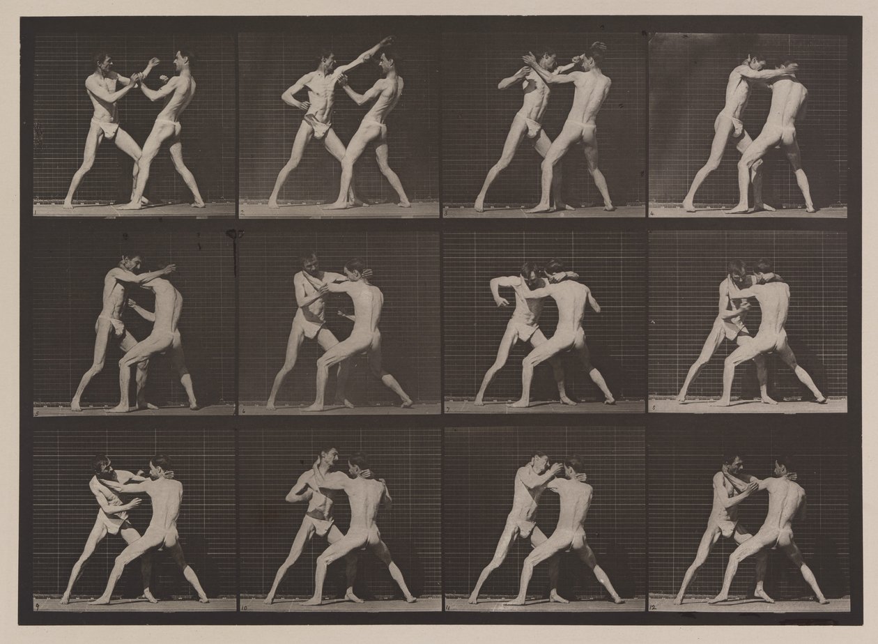 Plade nummer 340. Boksning; åben hånd (sko), 1887 (collotype) af Eadweard Muybridge