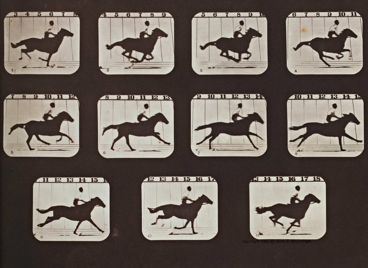 Sallie Gardner løber fra holdninger til dyr i bevægelse af Eadweard Muybridge
