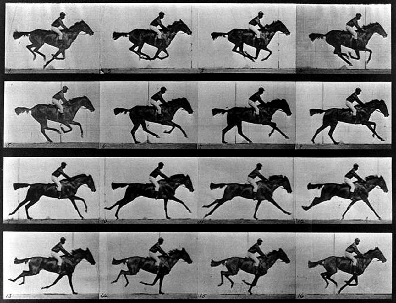Et sekvensbillede af Eadweard Muybridge