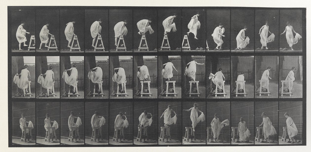 Animal Locomotion Plate af Eadweard Muybridge