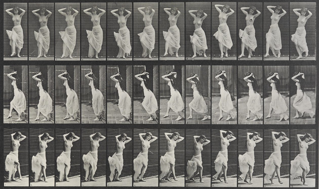 Animal Locomotion Plate 190 af Eadweard Muybridge