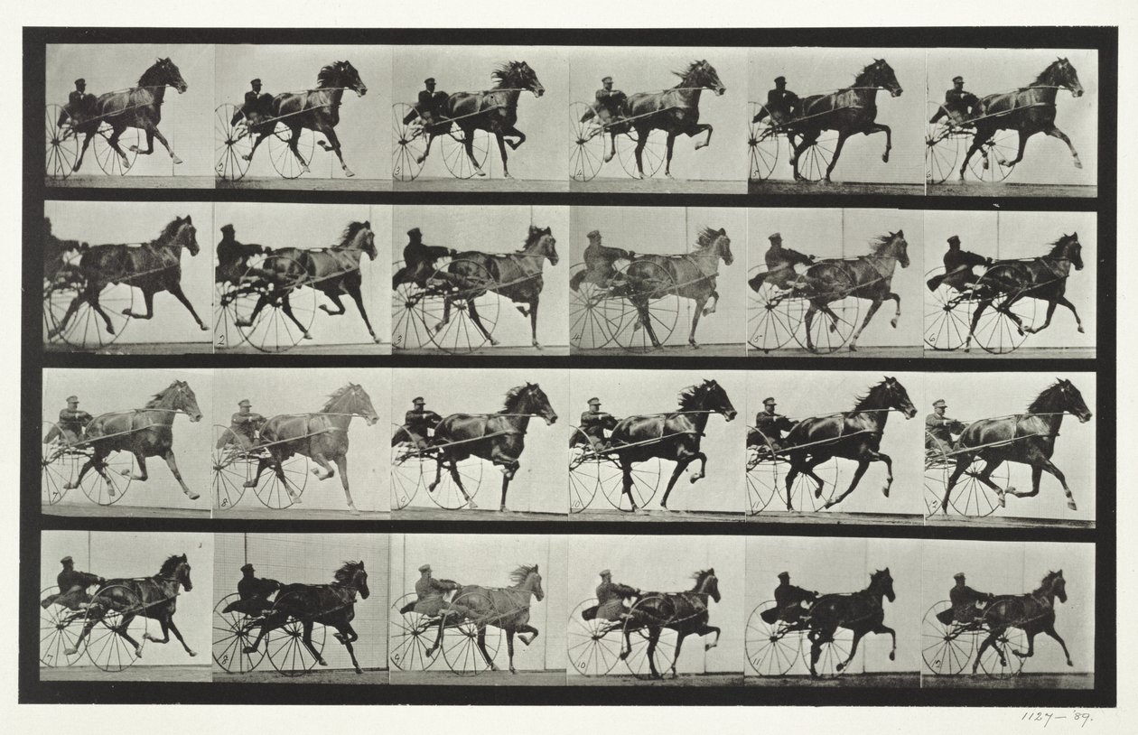 Carriage Driving, plade 613 fra 