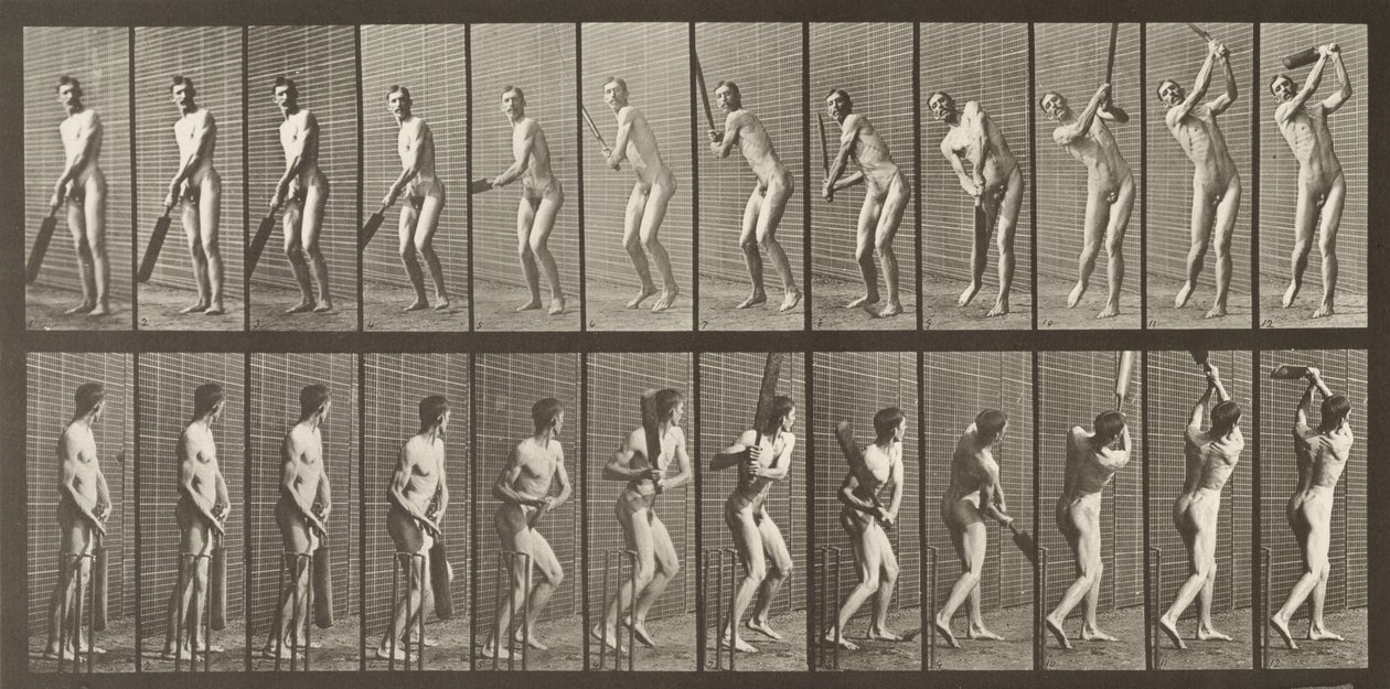 Cricketer, plade 291 fra "Animal Locomotion", 1887 af Eadweard Muybridge