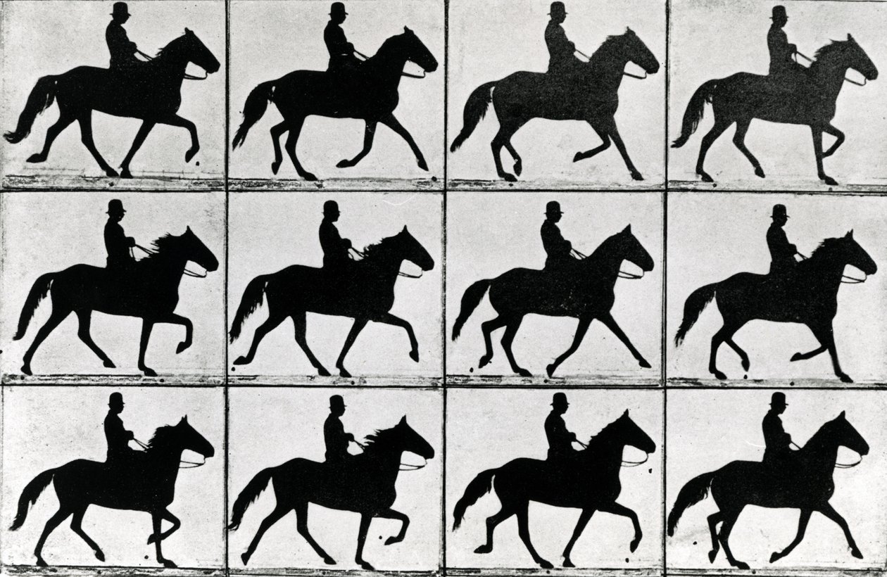 One Stride in Eleven Phases, 1881, illustration fra 