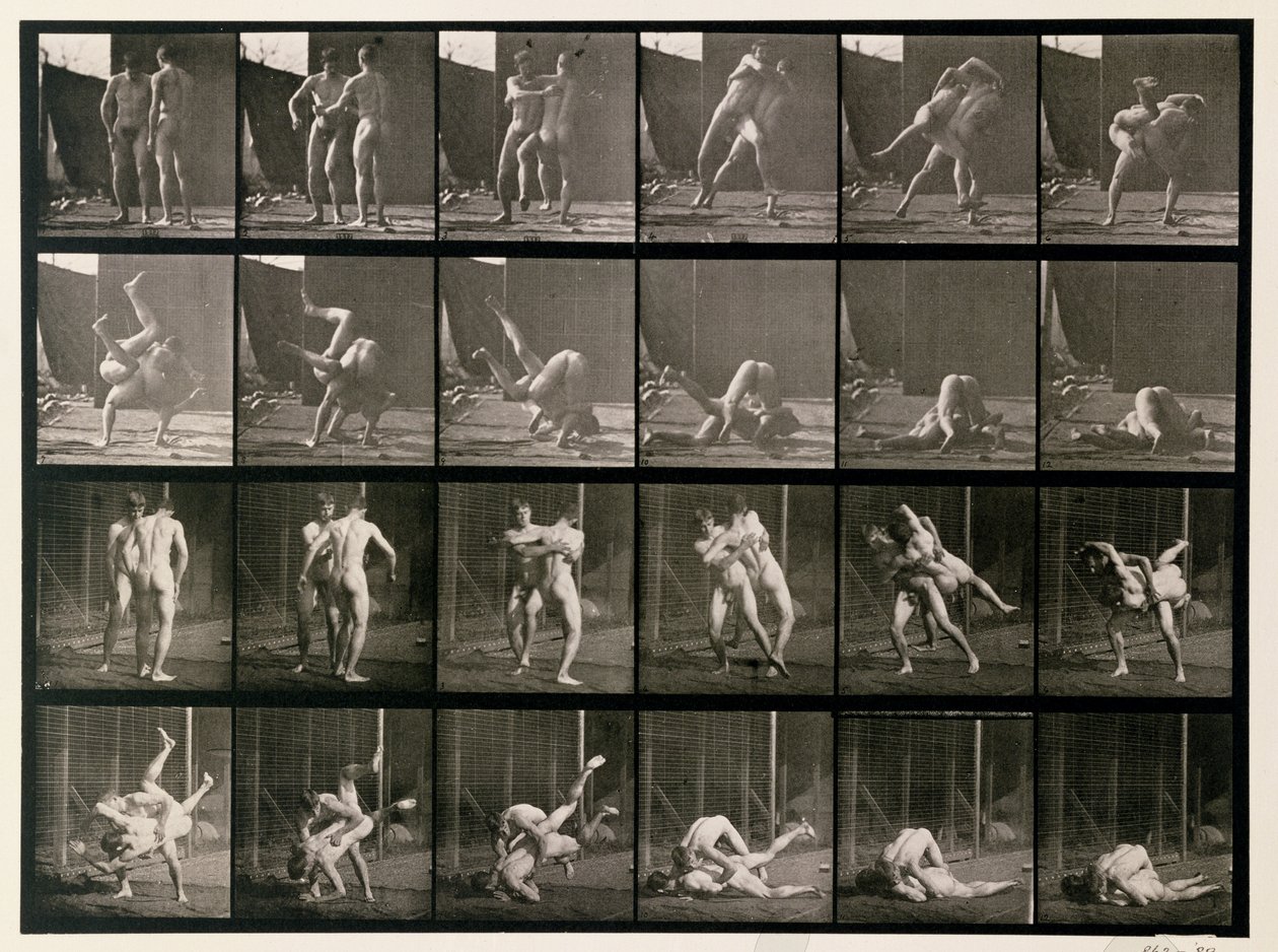 To mænd kæmper, plade 348 fra "Animal Locomotion", 1887 af Eadweard Muybridge