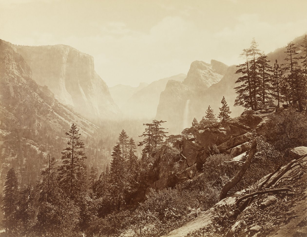 Valley of the Yosemite (tidlig morgen fra let rock), 1872 (albumin-tryk med mammutplade) af Eadweard Muybridge