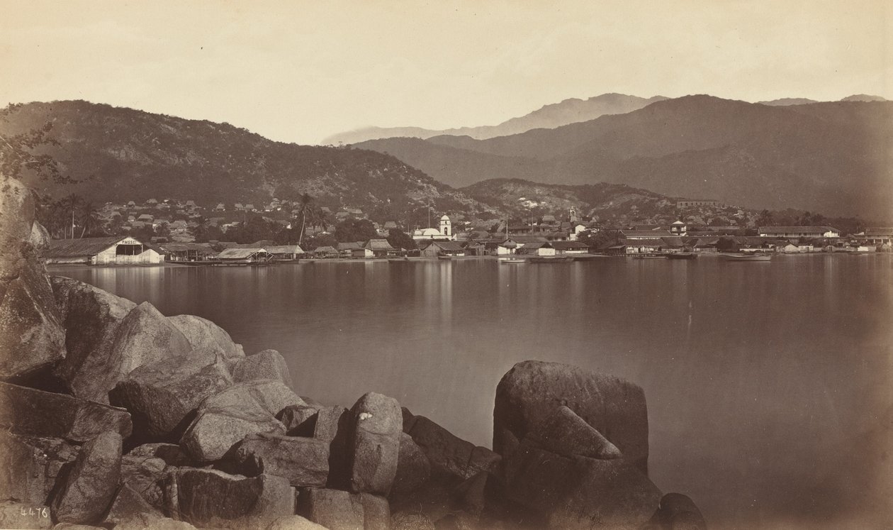 Acapulco, 1877. af Eadweard Muybridge