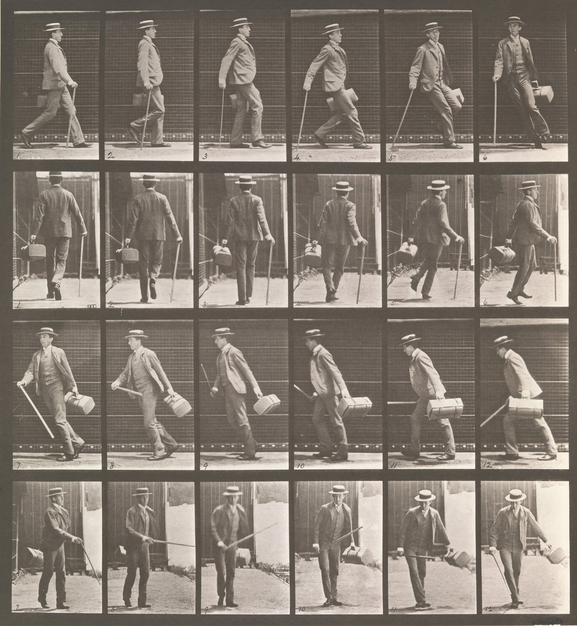 Dyrebevægelse. En elektrofotografisk undersøgelse... af dyrebevægelser. Begyndelse..., 1880