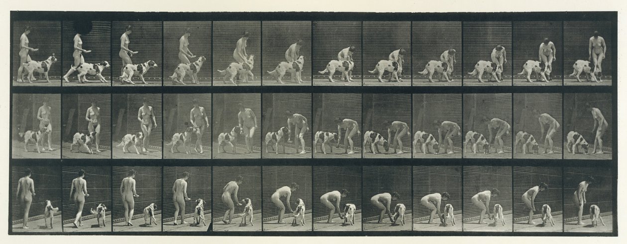Dyrebevægelse. En elektrofotografisk undersøgelse af på hinanden følgende faser af dyr ..., 1880