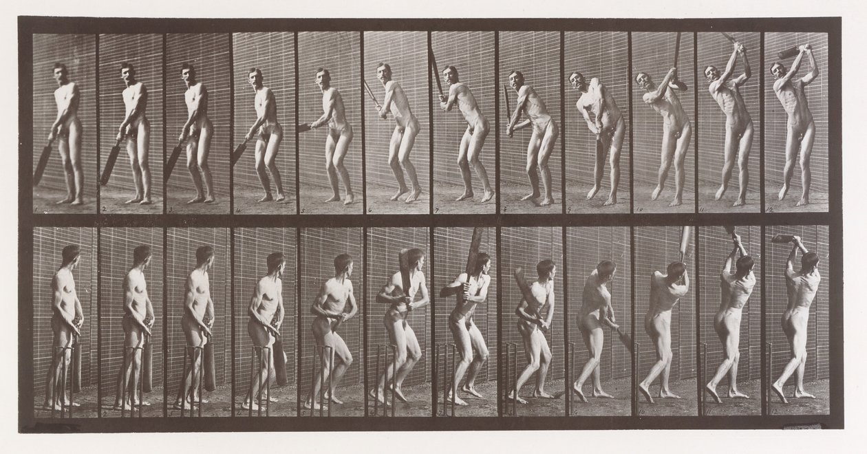 Dyrebevægelse. En elektrofotografisk undersøgelse af på hinanden følgende faser af dyr ..., 1880