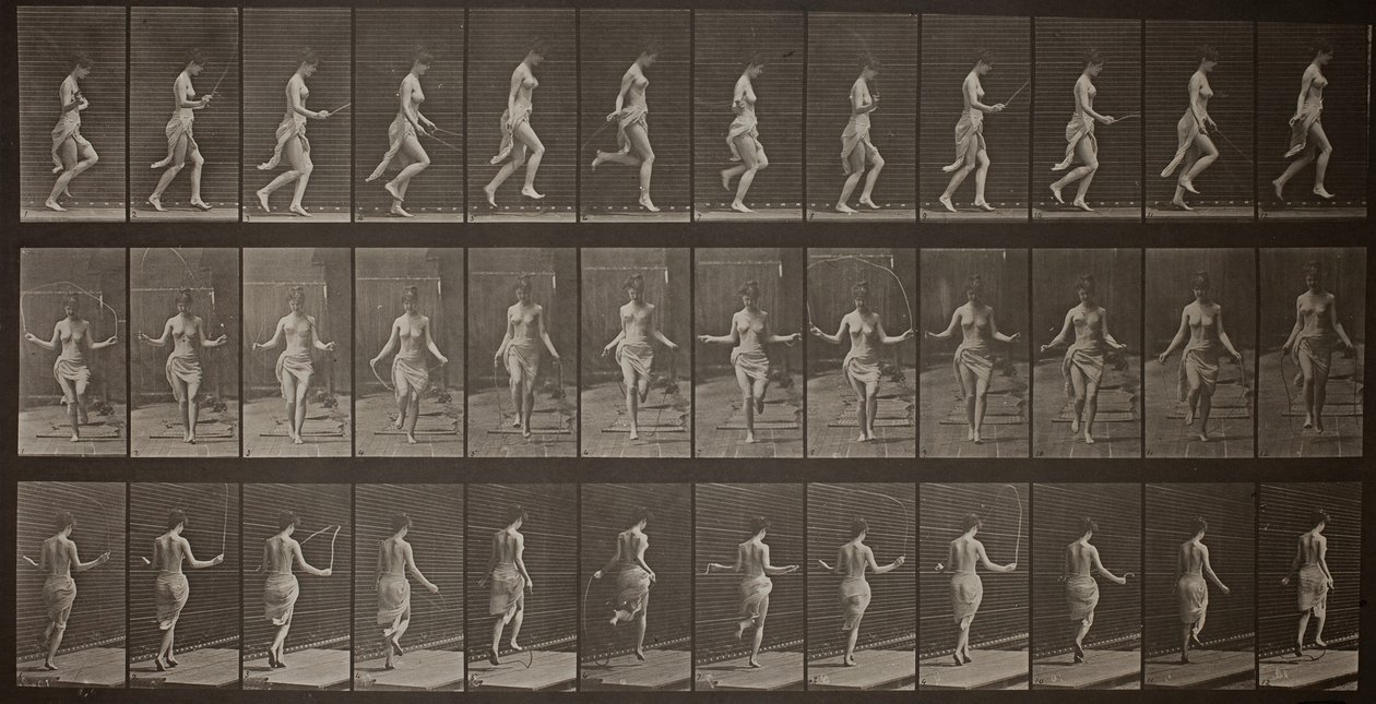 Dyrebevægelser, tavle 174, 1887. af Eadweard Muybridge
