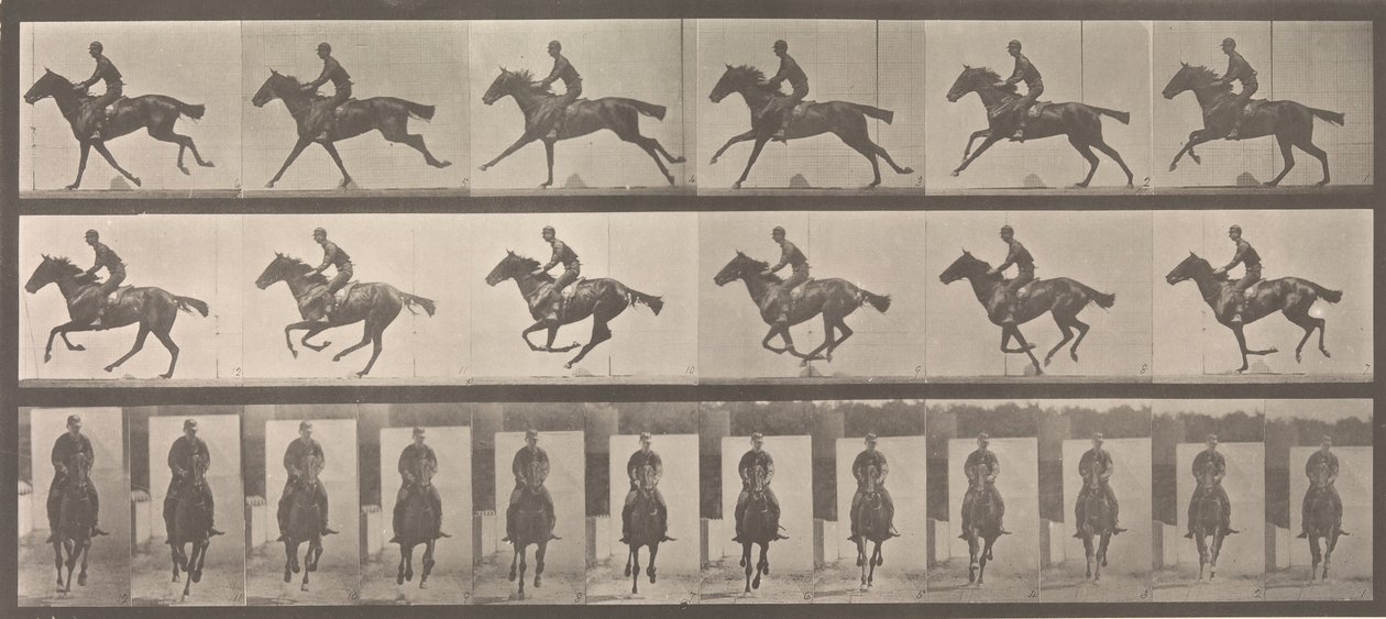 [Hest og rytter galoperende], 1883-86, trykt 1887. af Eadweard Muybridge