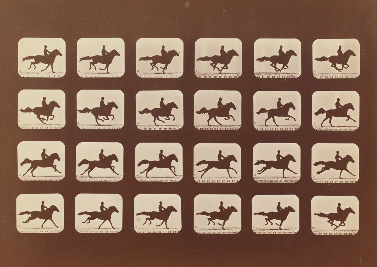 Heste. Løb. Phyrne L. nr. 40, 1879. af Eadweard Muybridge