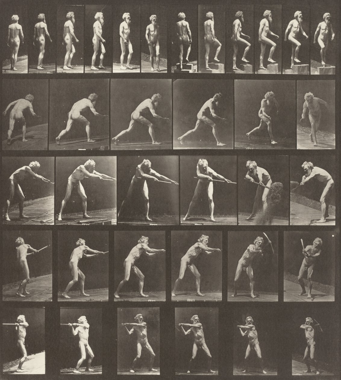 Plade nummer 521. A: Gående. B: At gå op ad et trin. C: Kaster disken. D: Ved hjælp af en skovl..., 1887. af Eadweard Muybridge
