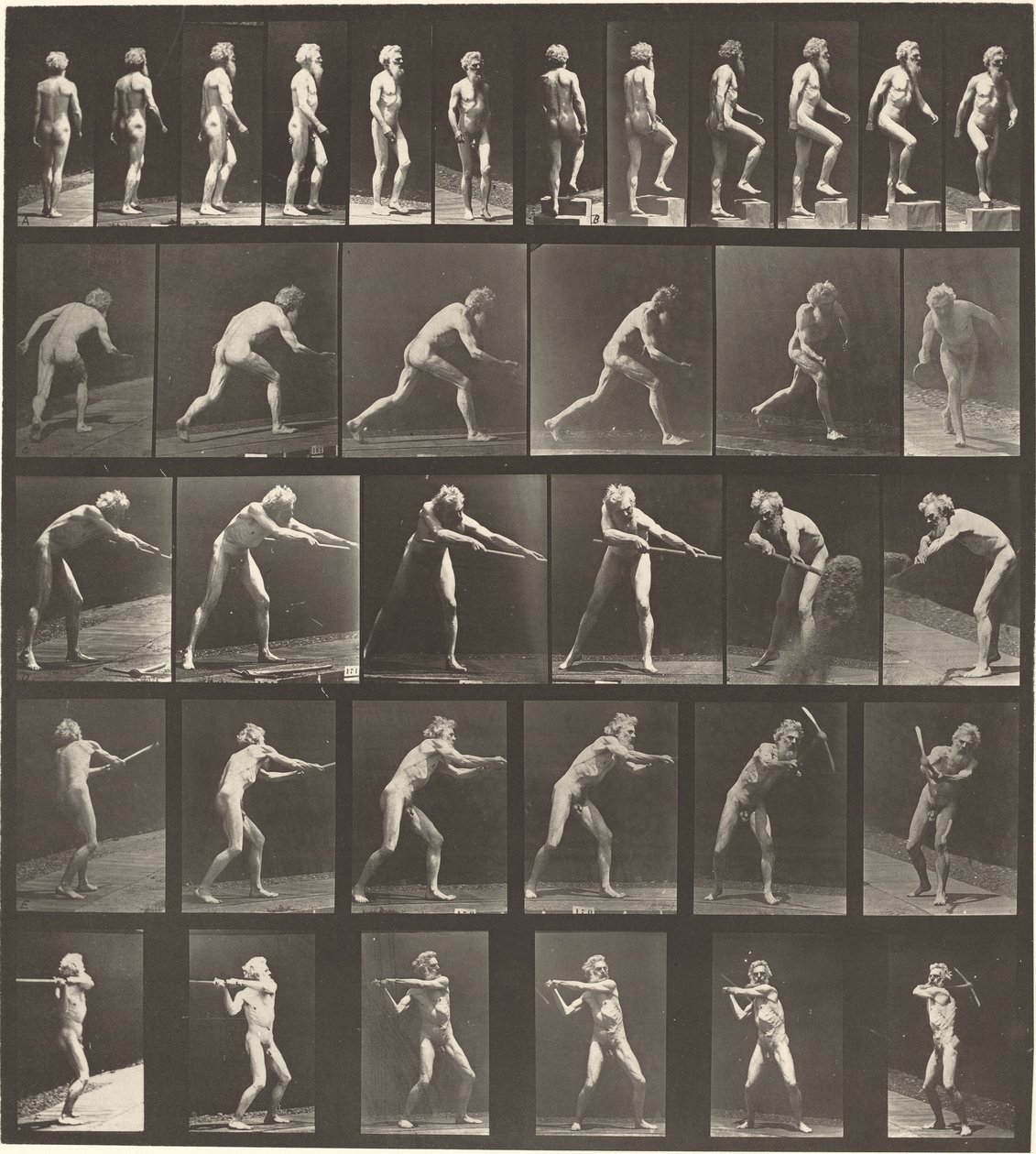 Tallerken nummer 521. A: Gående. B: Stigende trin. C. Kasteskive. D: Brug af skovl..., 1887. af Eadweard Muybridge