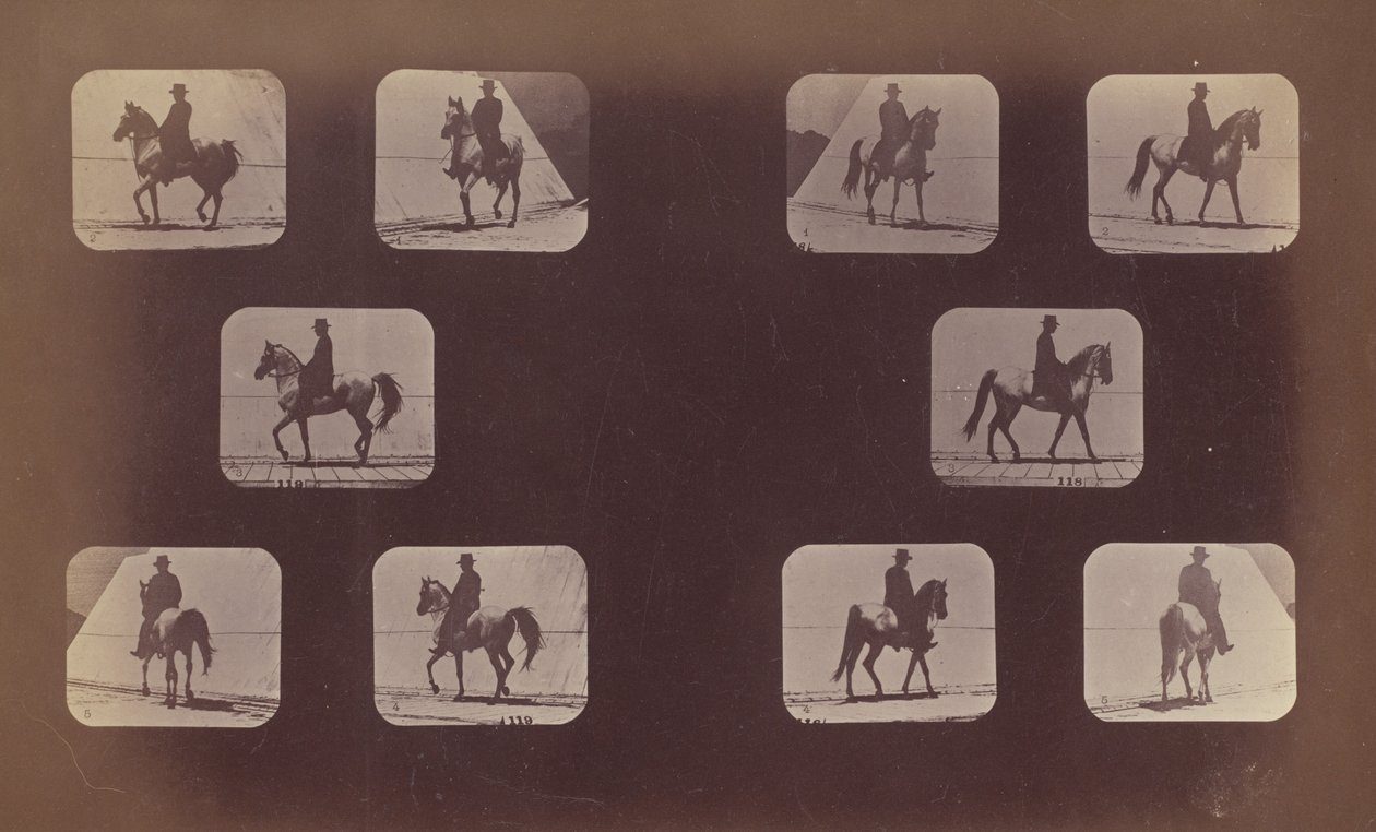 Studier af Forkortelser. Heste. Gåture. Mahomet. nr. 119-120, 1879. af Eadweard Muybridge