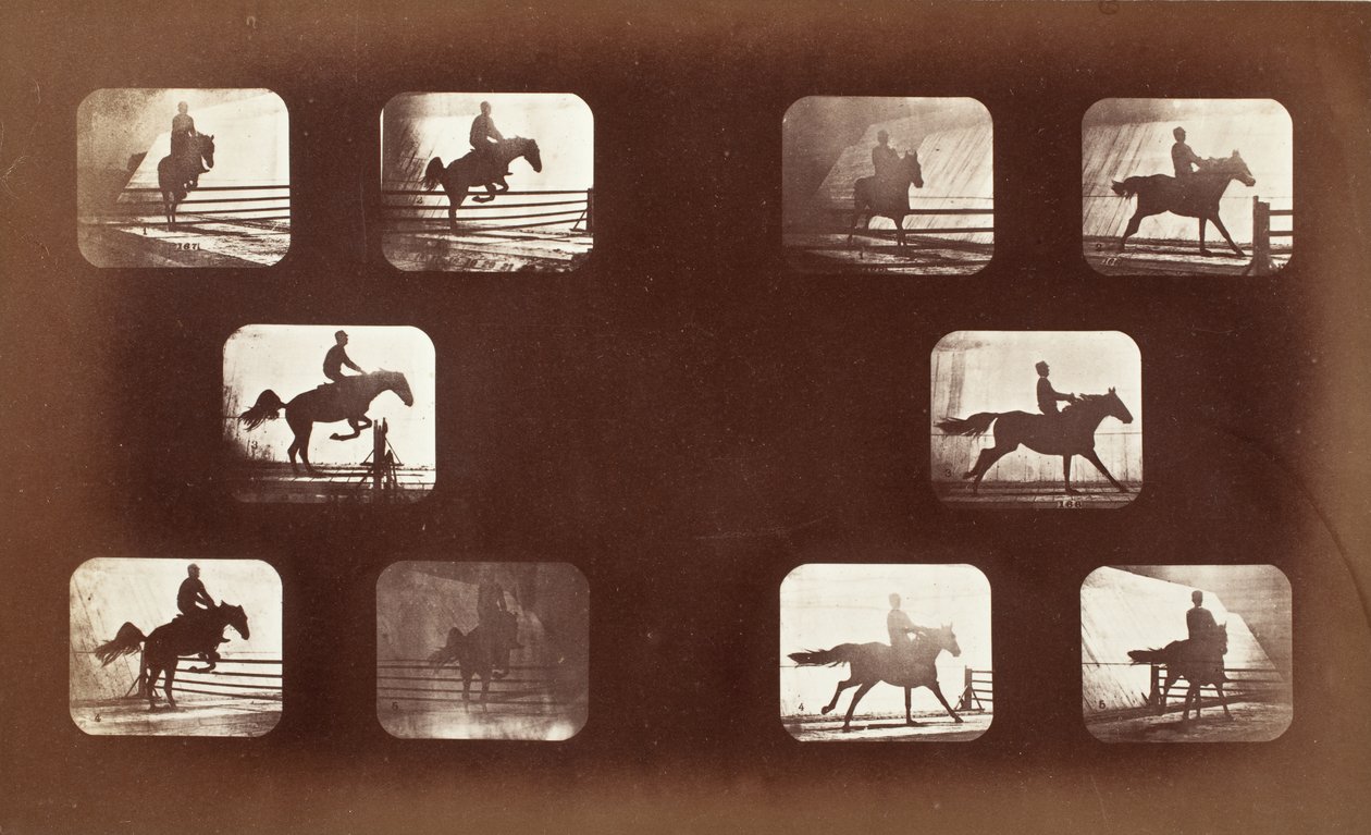Dyrs bevægelse (mand på hest over forhindringer) af Eadweard Muybridge