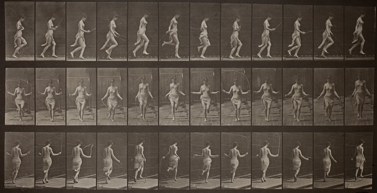 Dyrs bevægelse, plade 174 af Eadweard Muybridge