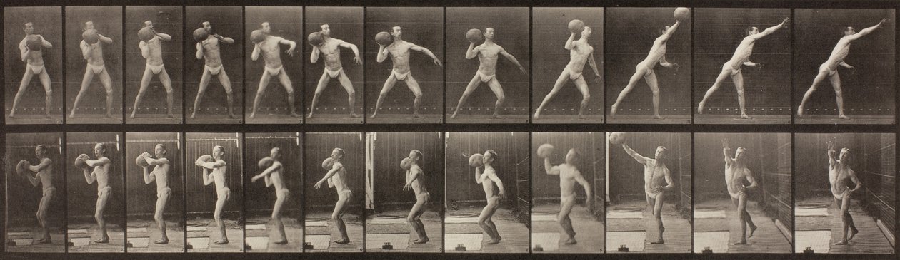 Dyrebevægelser, tavle 319, 1887 af Eadweard Muybridge