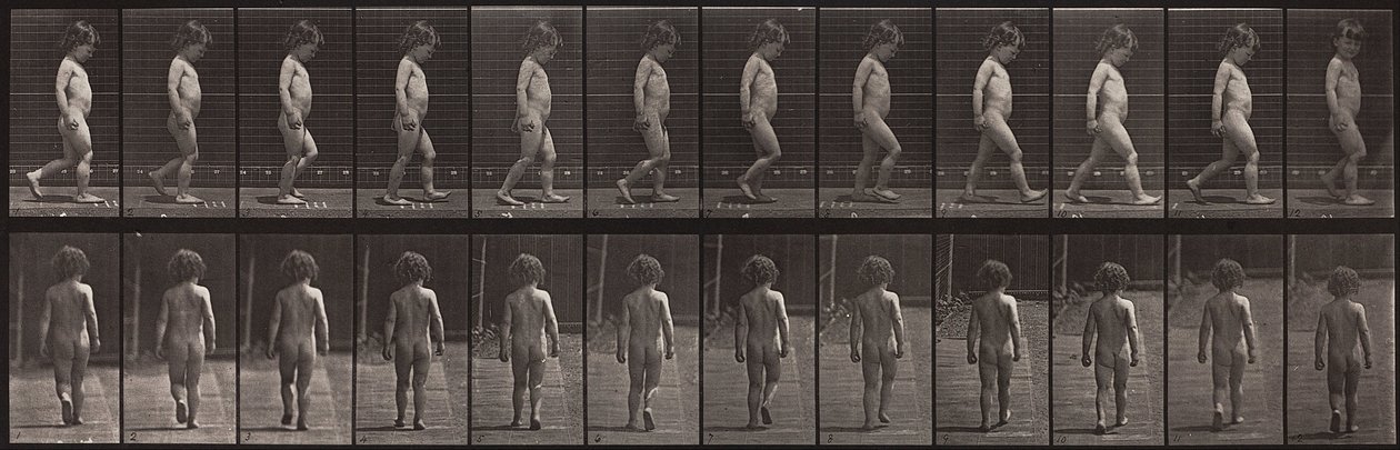 Animal Locomotion, plade 467 af Eadweard Muybridge