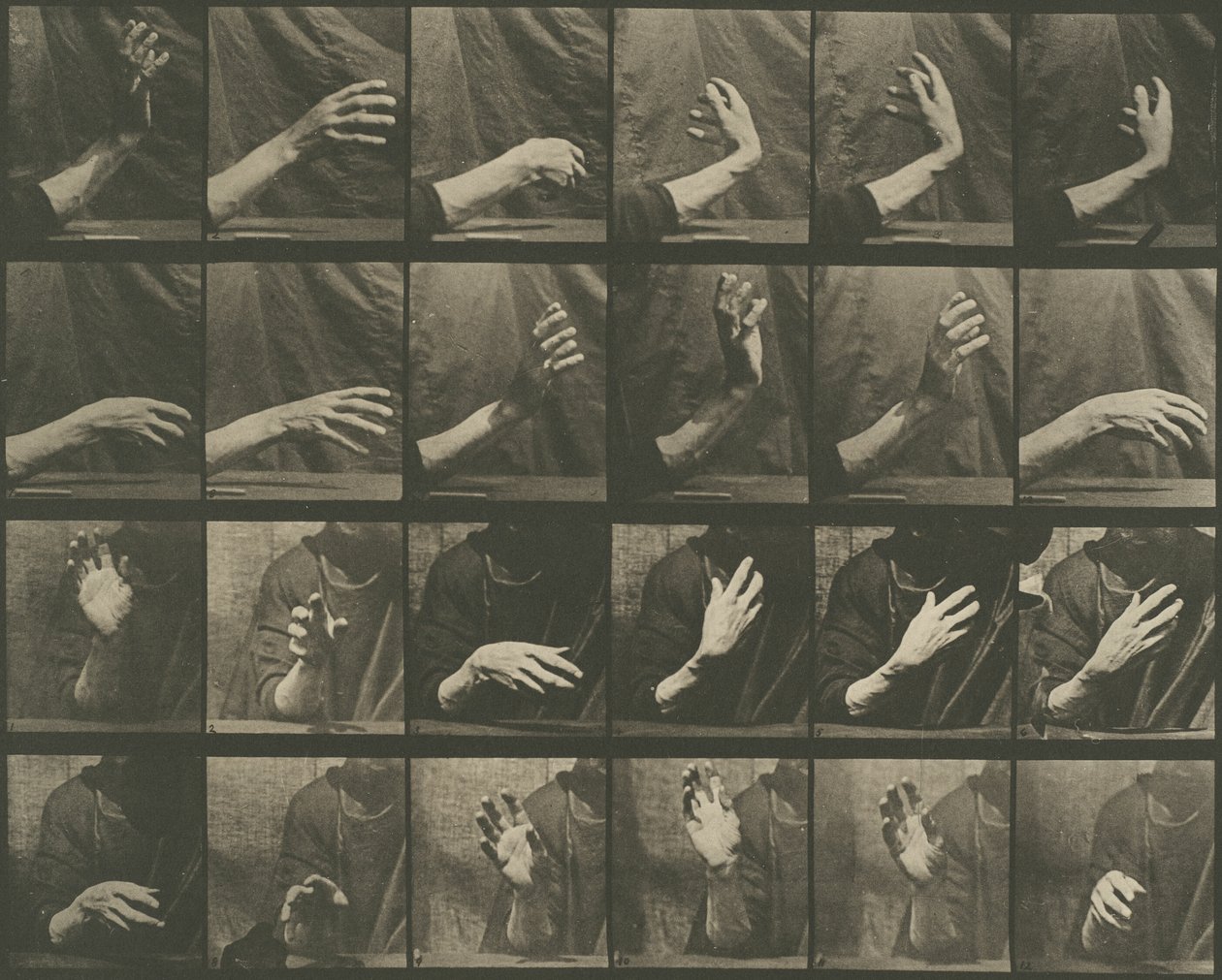 Dyrs bevægelse, plade 535 af Eadweard Muybridge