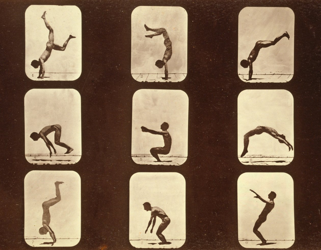 Atleter. Flip flap 