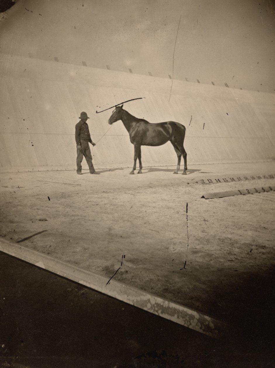 Detalje af banen på Leland Stanfords hestefarm i Palo Alto, 1878-1879 (foto) af Eadweard Muybridge