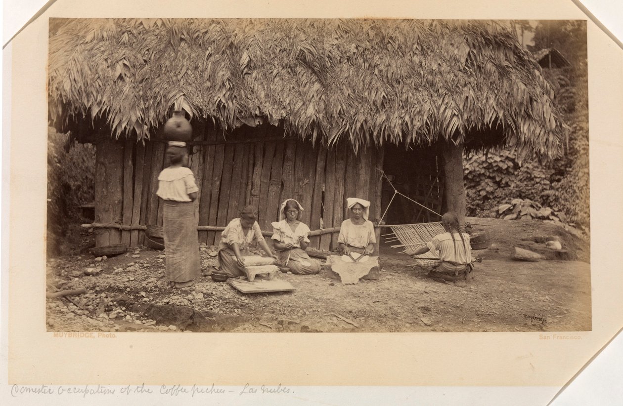 Beskæftigelse i hjemmet for kaffeplukkere, Las Nubes, Guatemala af Eadweard Muybridge