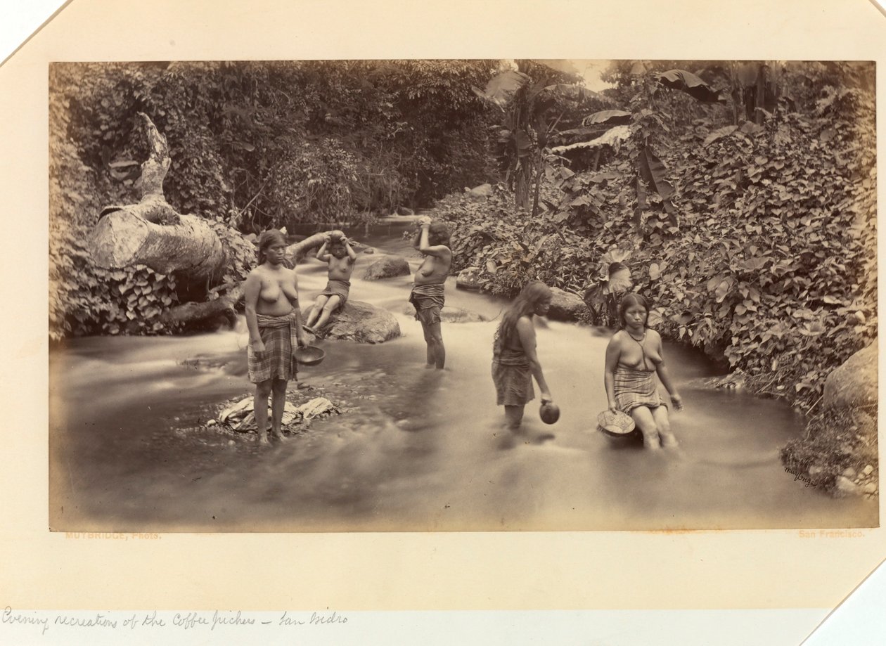 Kaffeplukkernes aftenaktiviteter, San Isidro, fra Stillehavskysten i Mellemamerika og Mexico; Panamas Isthmus; Guatemala; og dyrkning og forsendelse af kaffe af Eadweard Muybridge