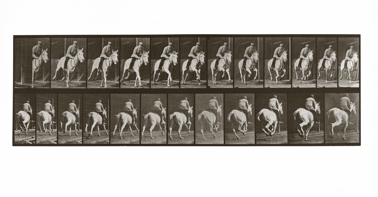 Galoperende hest med rytter, plade 635 fra Animal Locomotion, 1887 af Eadweard Muybridge