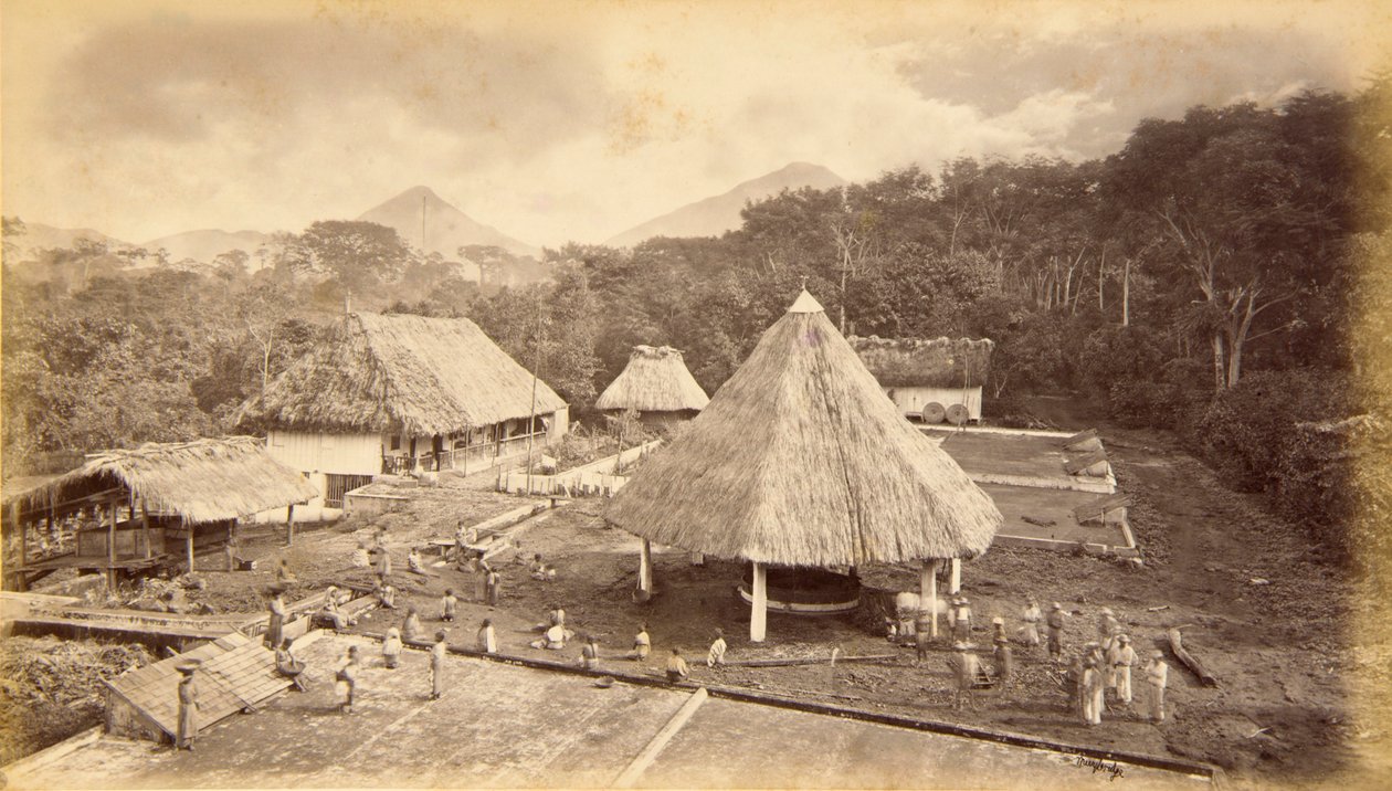 Hacienda William Nelson, San Isidro, Guatemala af Eadweard Muybridge