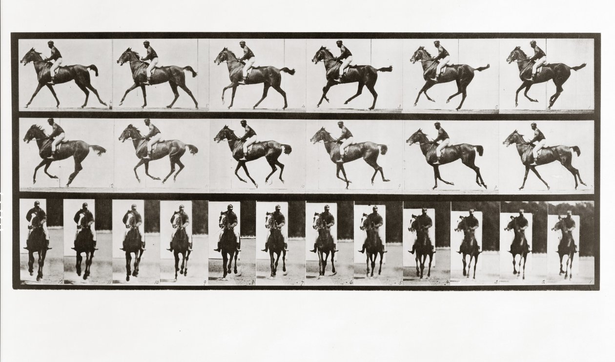 Hest og rytter, plade 621 fra Animal Locomotion, 1887 af Eadweard Muybridge