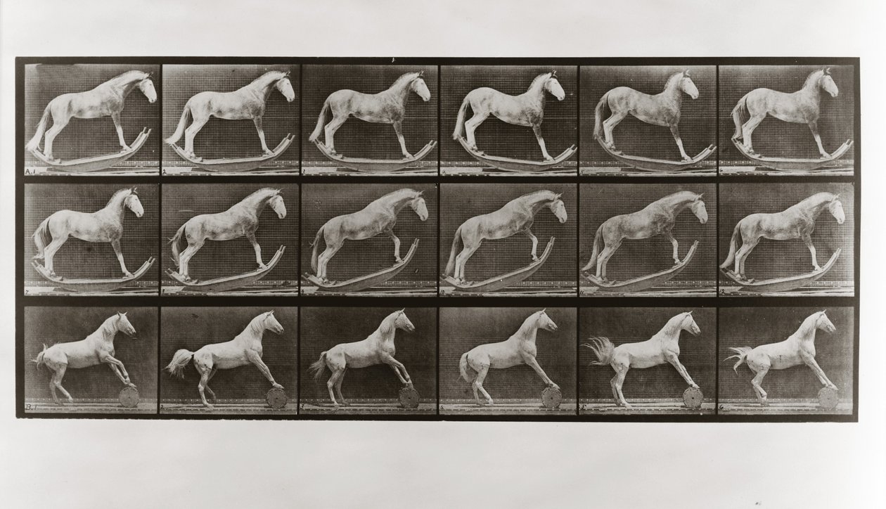 Horse on Rockers and Horse Rolling a Barrel, plade 649 fra Animal Locomotion, 1887 af Eadweard Muybridge