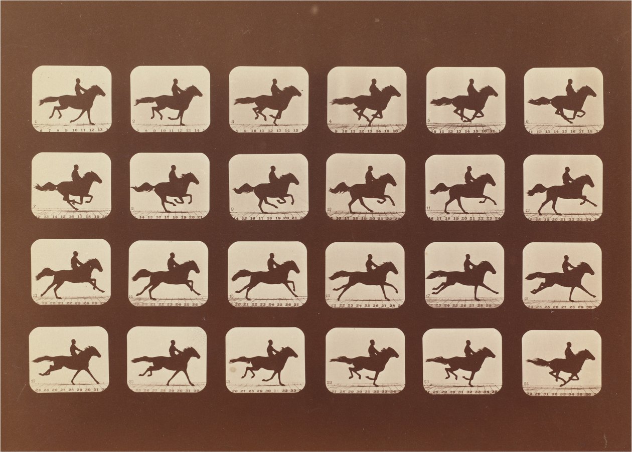 Heste. Løb. Phyrne L. nr. 40 af Eadweard Muybridge
