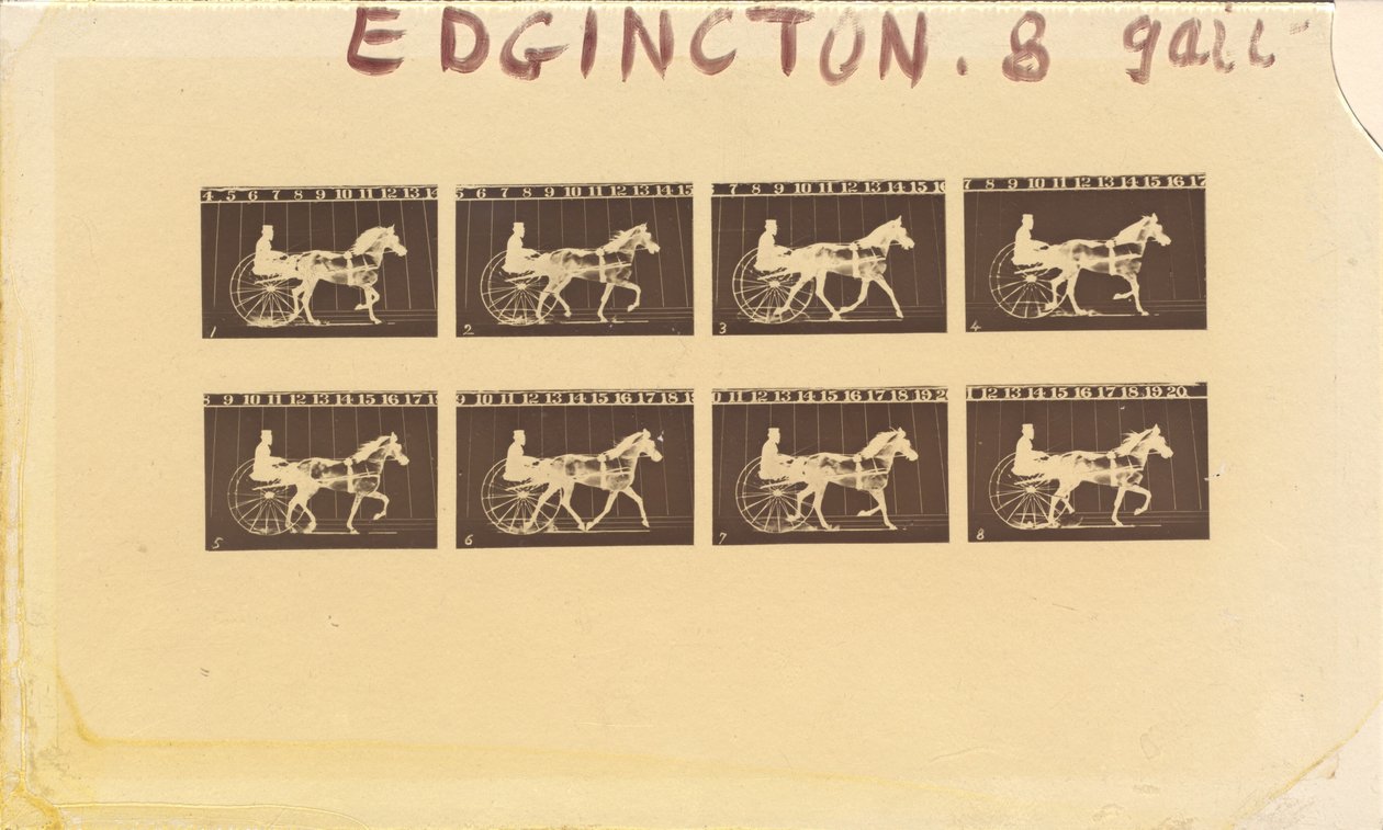 Internegativ for heste. Trav. Abe Edgington. nr. 28 af Eadweard Muybridge