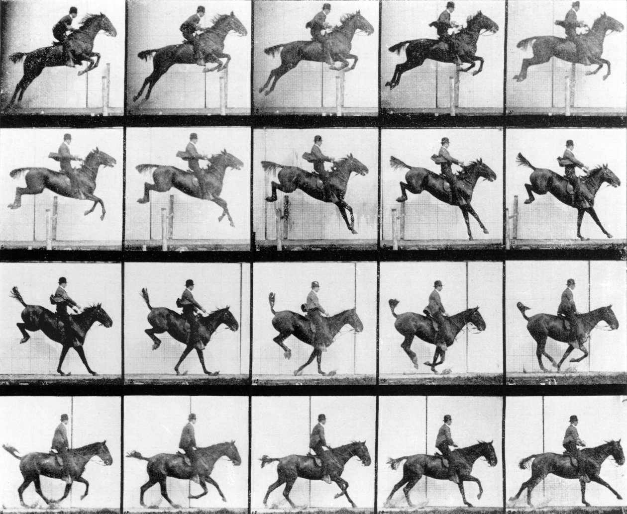 Mand og hest i spring, fra "Animals in Motion" af Muybridge, London, udgivet 1907 af Eadweard Muybridge