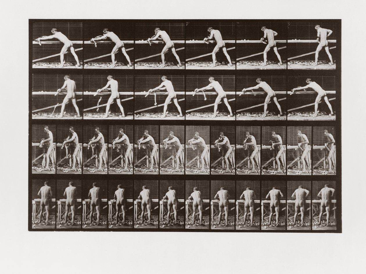 Mand, der høvler træ, plade 379 fra Animal Locomotion, 1887 af Eadweard Muybridge
