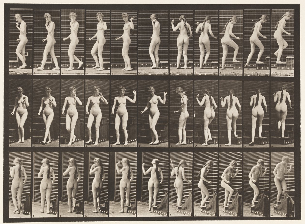 Plade 101. Dreje- og opadgående trapper, vinkende hånd, 1872-1885 af Eadweard Muybridge
