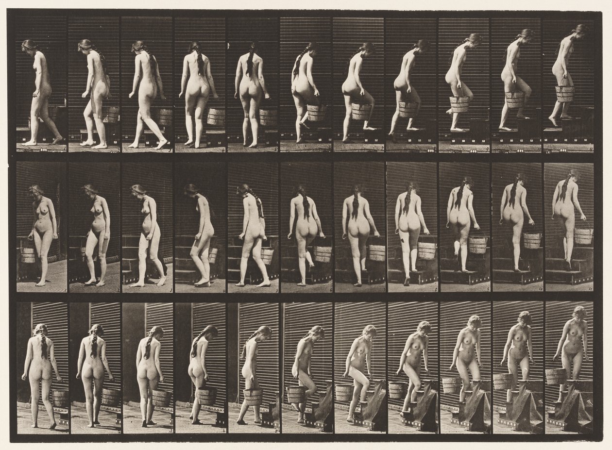 Plade 102. Vende og opadgående trapper, spandvand i Rt Hand, 1872-1885 af Eadweard Muybridge
