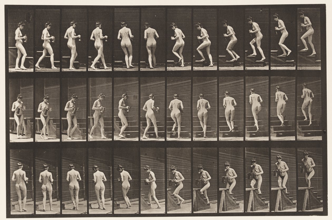 Plade 103. Dreje- og opadgående trapper, kande og bæger i hænder, 1872-1885 af Eadweard Muybridge