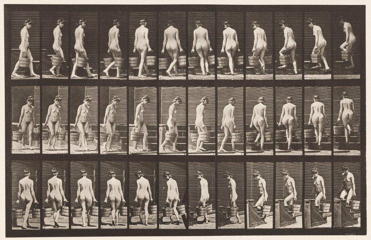 Plade 104. Dreje- og opadgående trapper, spandvand i hver hånd, 1872-1885 af Eadweard Muybridge