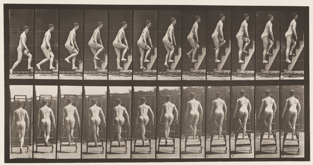 Tavle 109. Opstigende trappestige, 1872-1885 af Eadweard Muybridge