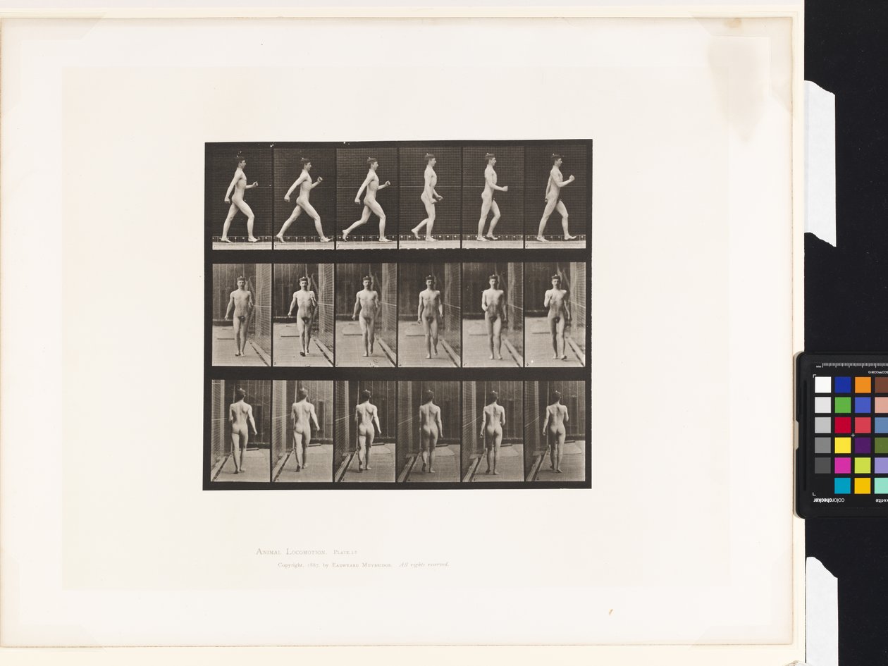 Plade 10.Gå af Eadweard Muybridge
