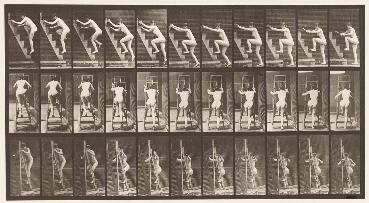 Plade 110. Opstigende trinstige, to trin ad gangen af Eadweard Muybridge