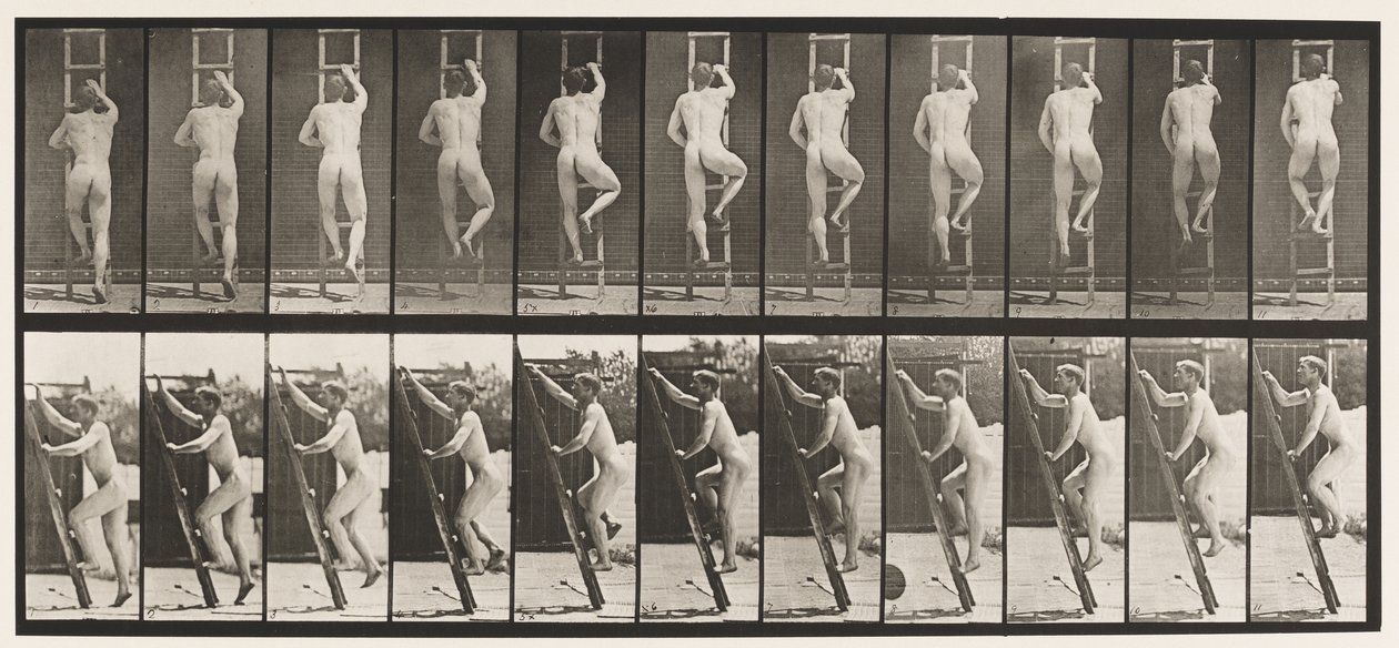 Plade 111. Opstigende Stige af Eadweard Muybridge
